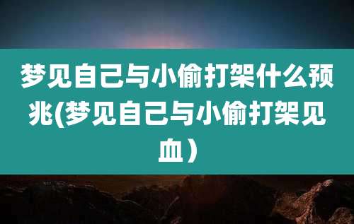 梦见自己与小偷打架什么预兆(梦见自己与小偷打架见血)