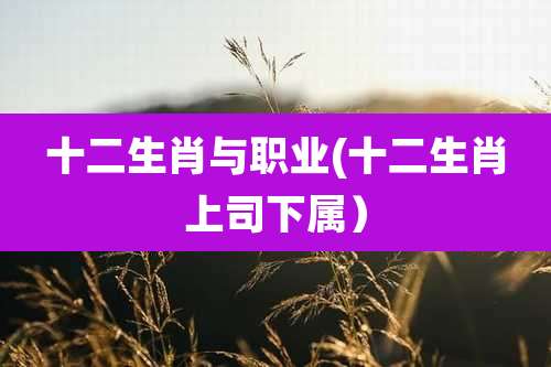 十二生肖与职业(十二生肖上司下属)