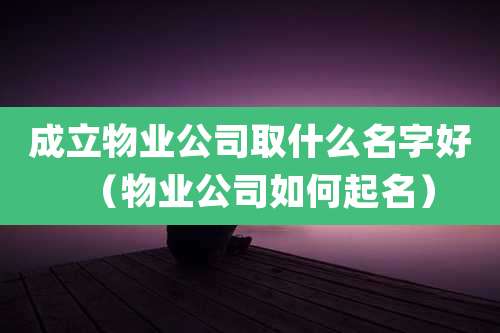 成立物业公司取什么名字好(物业公司如何起名)