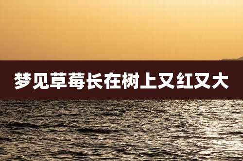 梦见草莓长在树上又红又大