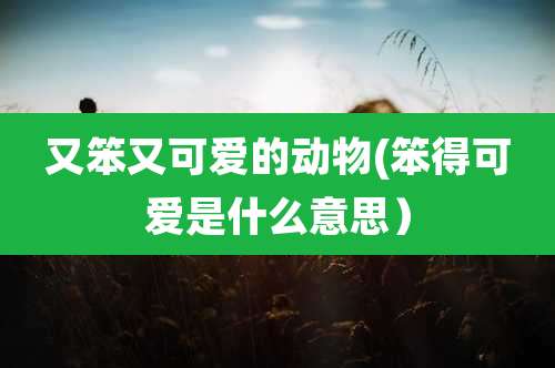 又笨又可爱的动物(笨得可爱是什么意思）