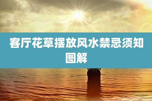 客厅花草摆放风水禁忌须知图解