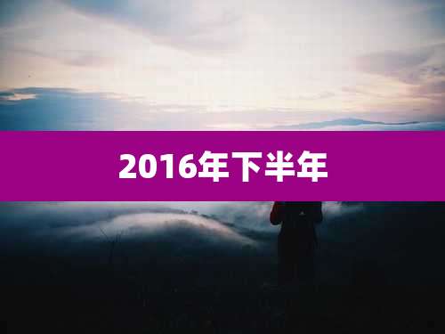 2016年下半年