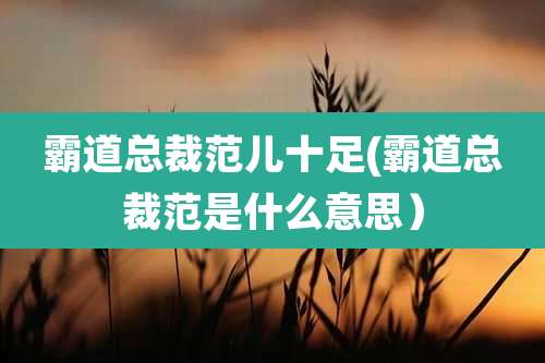 霸道总裁范儿十足(霸道总裁范是什么意思)