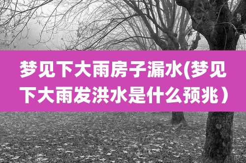 梦见下大雨房子漏水(梦见下大雨发洪水是什么预兆)