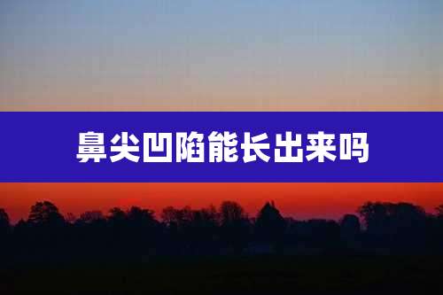 鼻尖凹陷能长出来吗