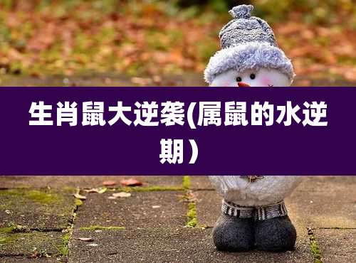 生肖鼠大逆袭(属鼠的水逆期)