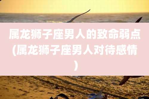 属龙狮子座男人的致命弱点(属龙狮子座男人对待感情)