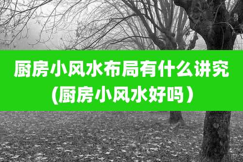 厨房小风水布局有什么讲究(厨房小风水好吗)