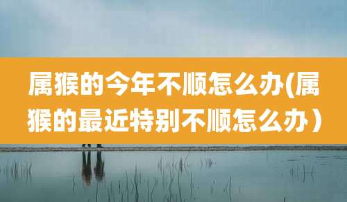 属猴的今年不顺怎么办(属猴的最近特别不顺怎么办)
