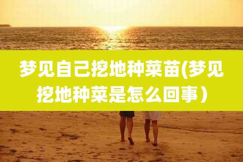 梦见自己挖地种菜苗(梦见挖地种菜是怎么回事)