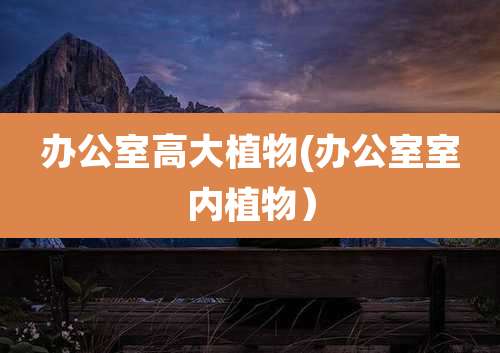 办公室高大植物(办公室室内植物）