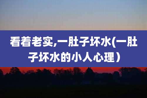 看着老实,一肚子坏水(一肚子坏水的小人心理）