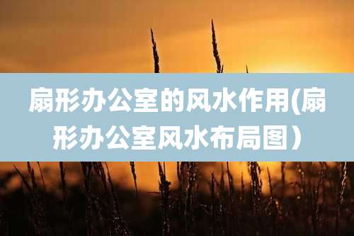 扇形办公室的风水作用(扇形办公室风水布局图)