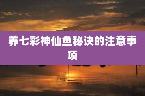 养七彩神仙鱼秘诀的注意事项