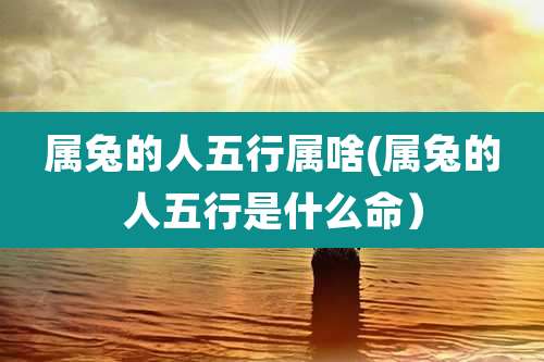属兔的人五行属啥(属兔的人五行是什么命）