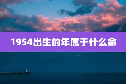 1954出生的年属于什么命