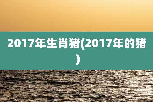 2017年生肖猪(2017年的猪）