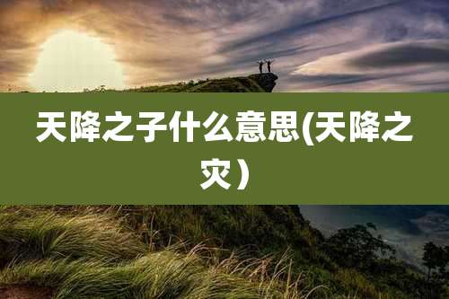 天降之子什么意思(天降之灾)