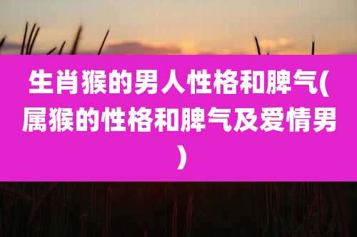 生肖猴的男人性格和脾气(属猴的性格和脾气及爱情男）