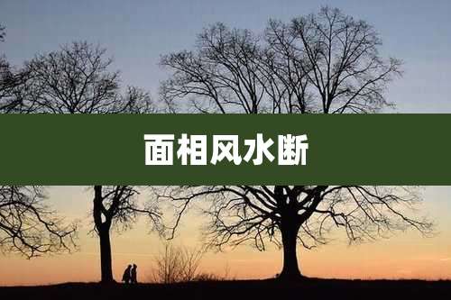 面相风水断