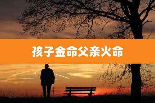 孩子金命父亲火命