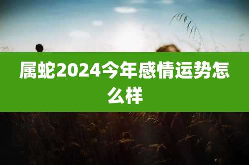 属蛇2024今年感情运势怎么样