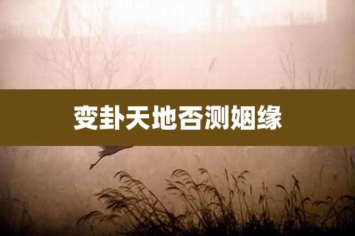 变卦天地否测姻缘