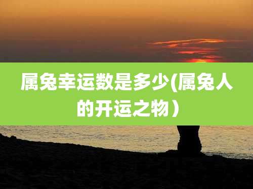 属兔幸运数是多少(属兔人的开运之物)