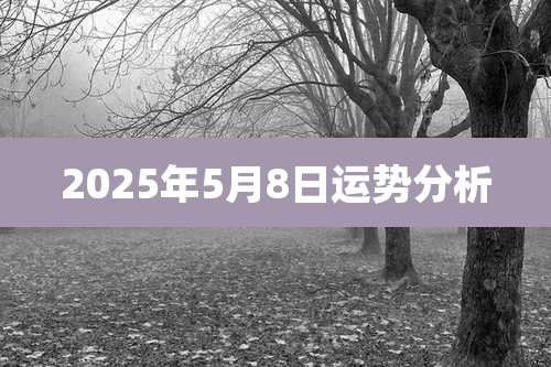 2025年5月8日运势分析