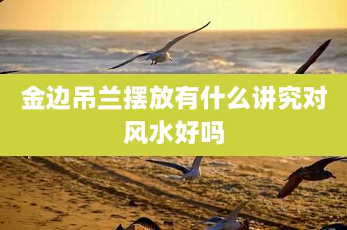 金边吊兰摆放有什么讲究对风水好吗