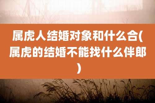属虎人结婚对象和什么合(属虎的结婚不能找什么伴郎)