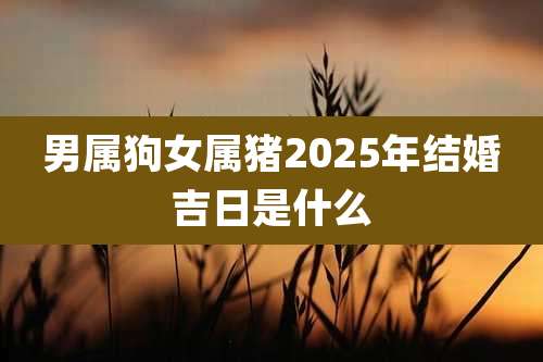 男属狗女属猪2025年结婚吉日是什么