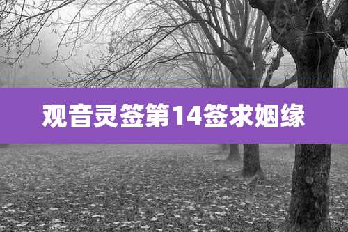 观音灵签第14签求姻缘