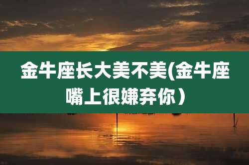 金牛座长大美不美(金牛座嘴上很嫌弃你)
