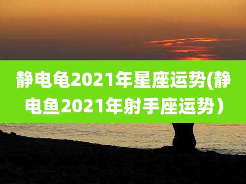 静电龟2021年星座运势(静电鱼2021年射手座运势)