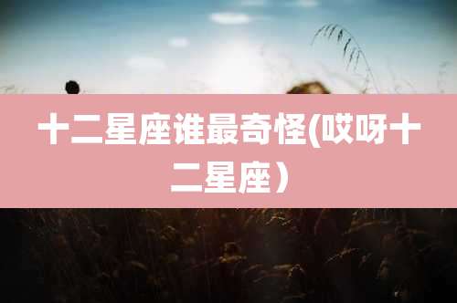 十二星座谁最奇怪(哎呀十二星座)