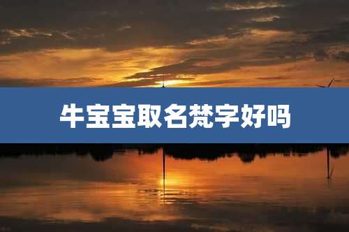 牛宝宝取名梵字好吗