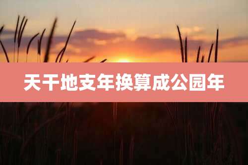 天干地支年换算成公园年