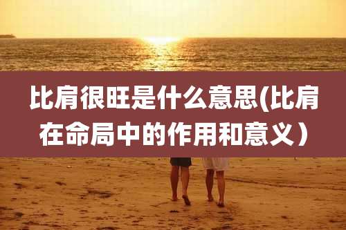 比肩很旺是什么意思(比肩在命局中的作用和意义）