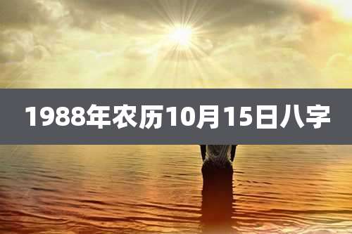 1988年农历10月15日八字