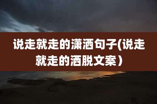 说走就走的潇洒句子(说走就走的洒脱文案)