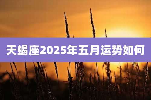 天蝎座2025年五月运势如何