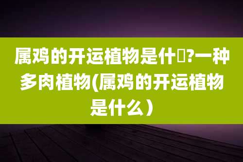 属鸡的开运植物是什麼?一种多肉植物(属鸡的开运植物是什么)
