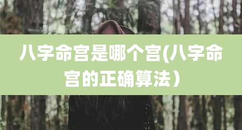 八字命宫是哪个宫(八字命宫的正确算法）