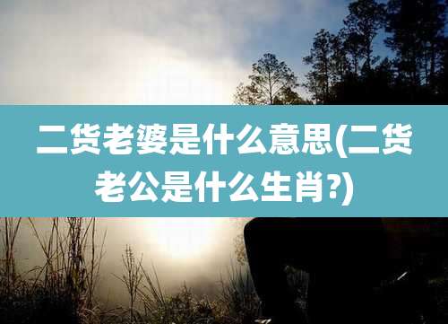 二货老婆是什么意思(二货老公是什么生肖?)