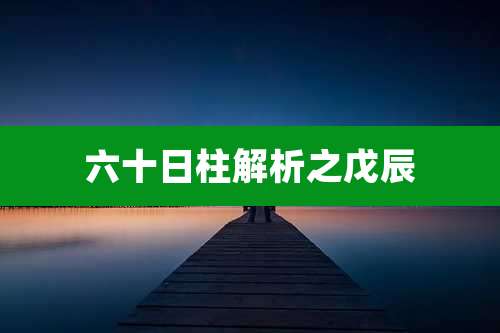 六十日柱解析之戊辰