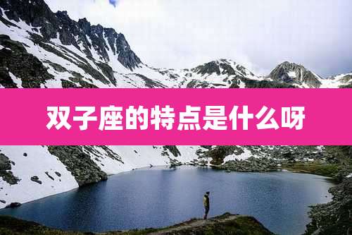 双子座的特点是什么呀