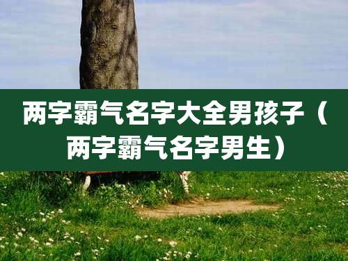 两字霸气名字大全男孩子（两字霸气名字男生）