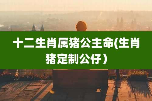 十二生肖属猪公主命(生肖猪定制公仔)